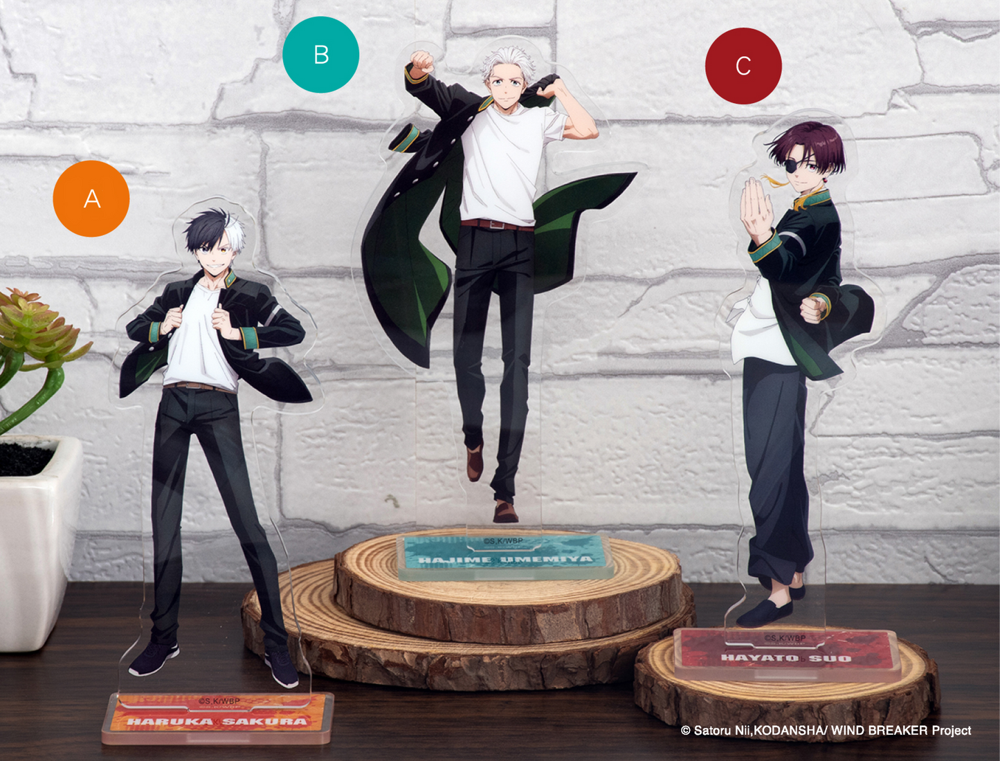 Wind Breaker – Acrylic Standee