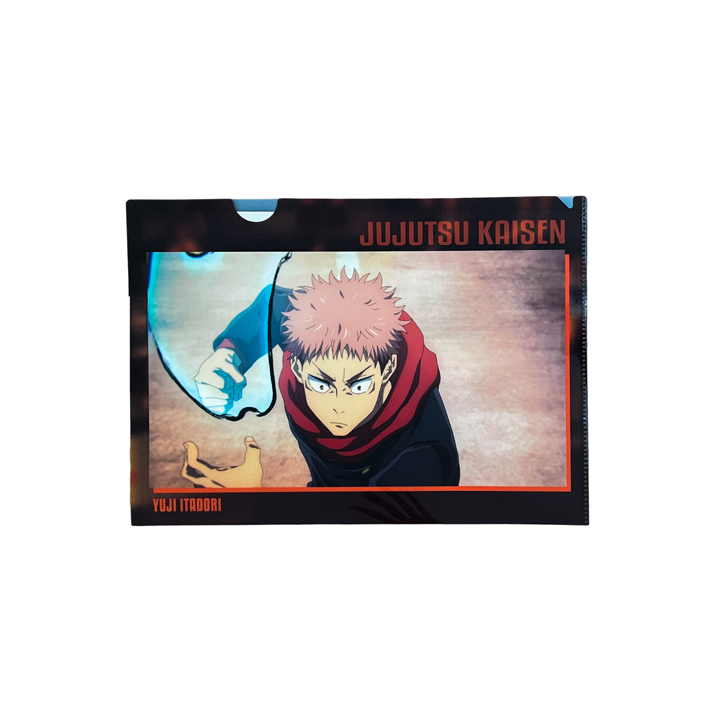 Jujutsu Kaisen Shibuya Incident Document Folder Set D