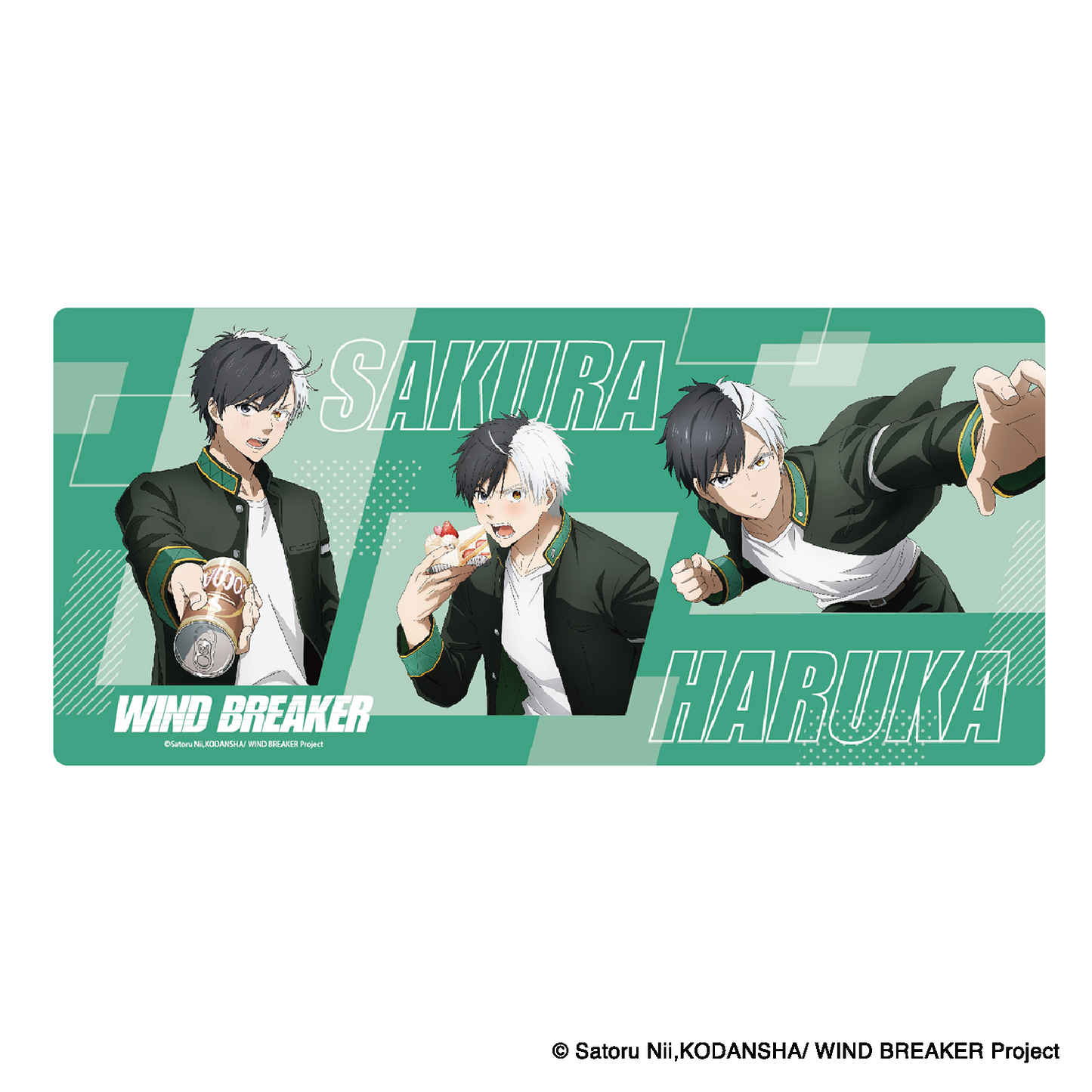 Wind Breaker - Big Desk Mat (4 Styles)