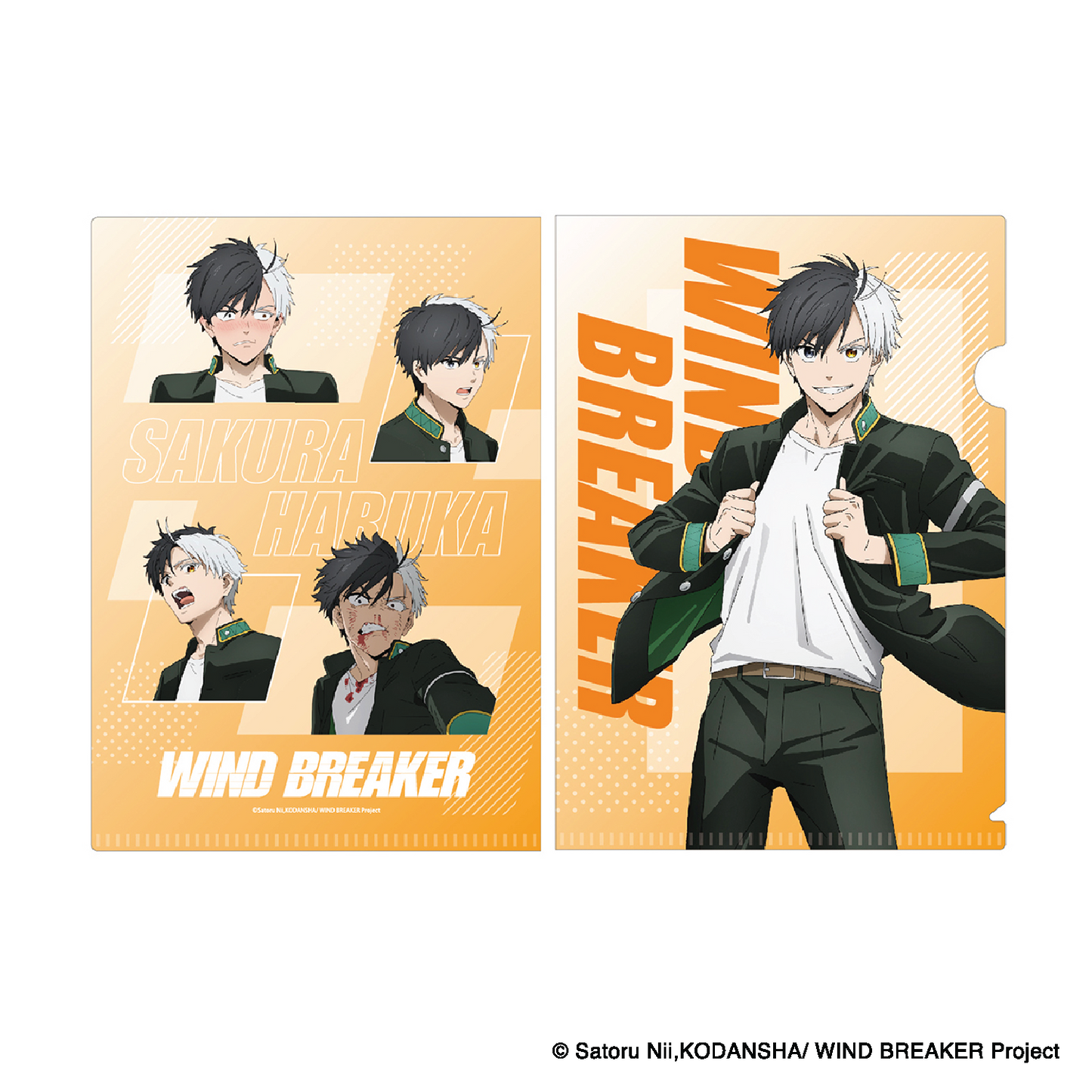 Wind Breaker – Document Folder (Type A)