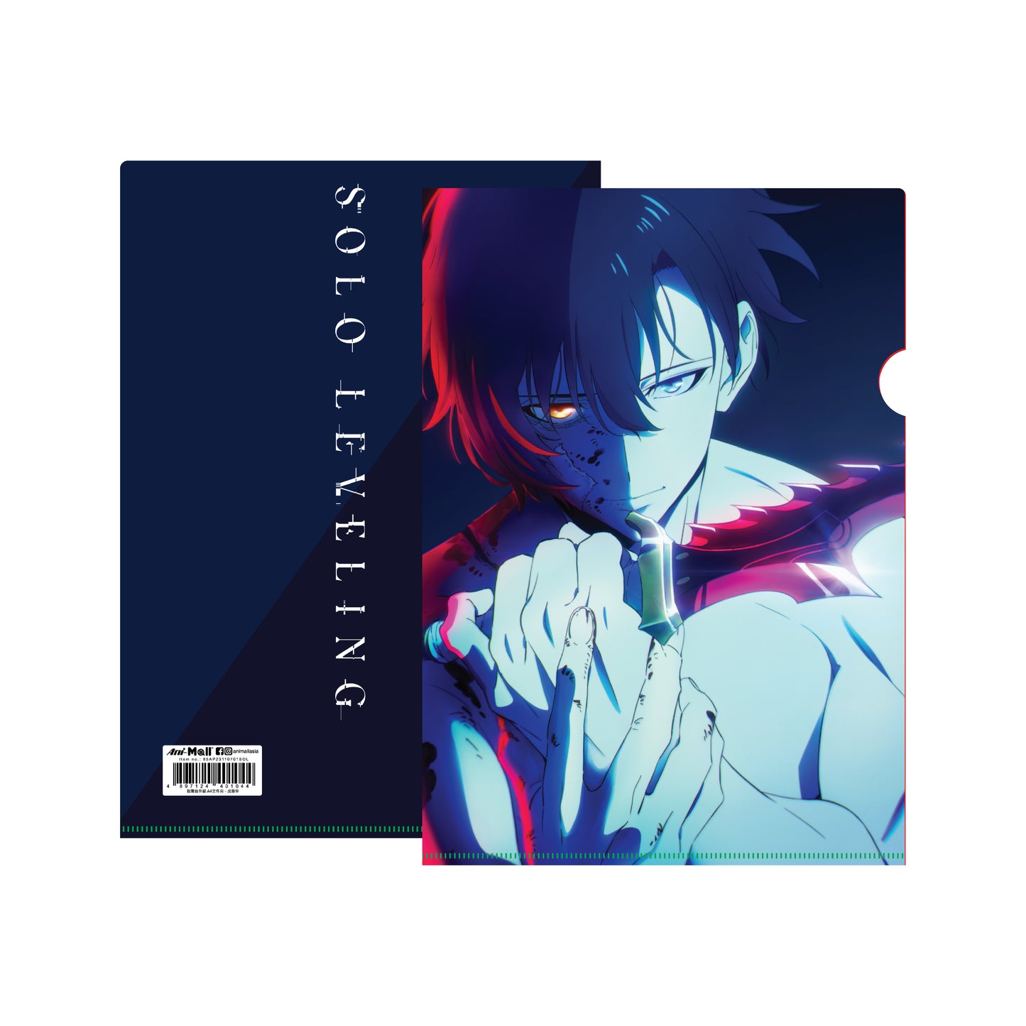 Solo Leveling Document Folder