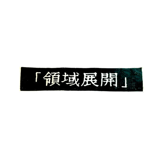 Jujutsu Kaisen  Towel – Domain Expansion