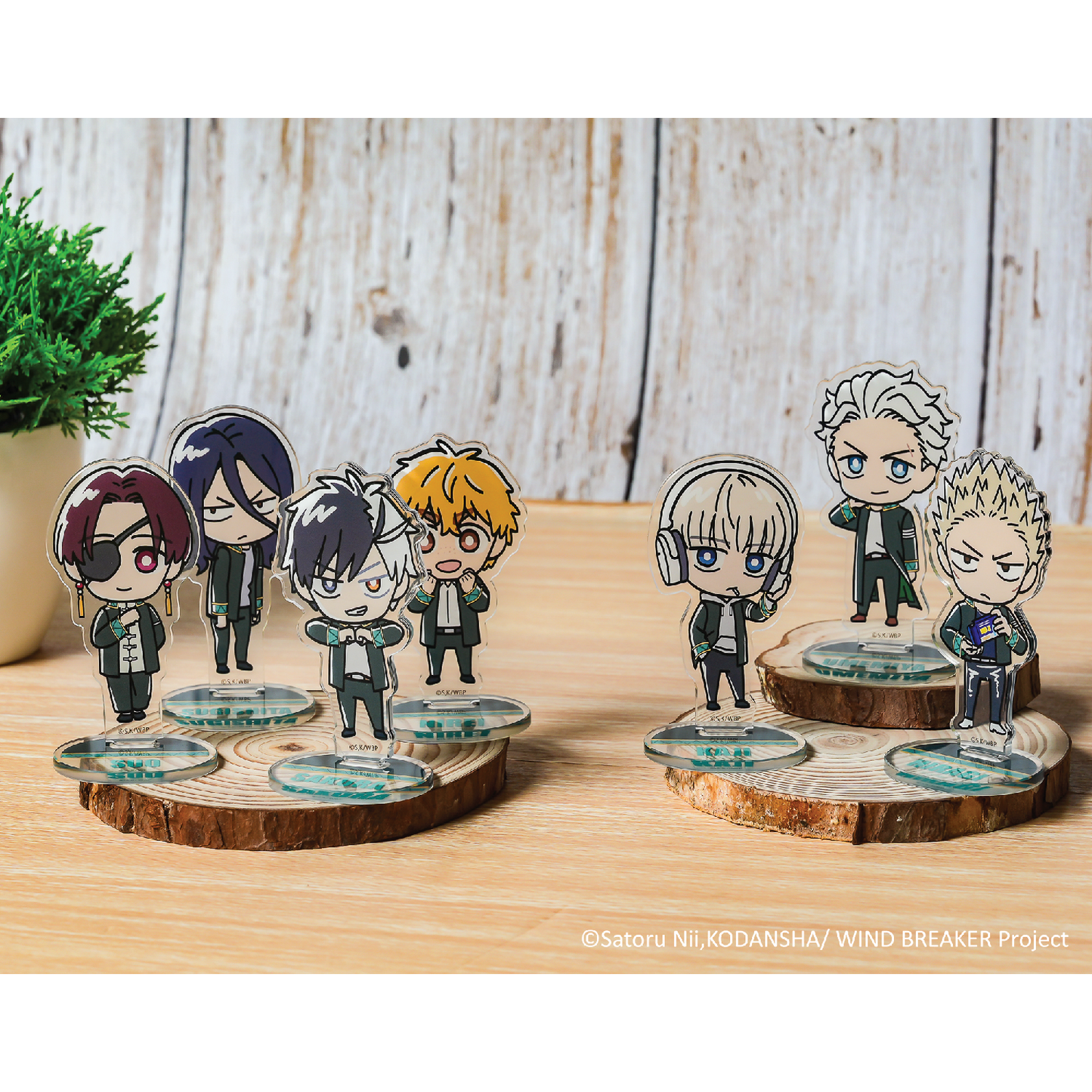 Wind Breaker – Mini Chibi Acrylic Standee (Random)