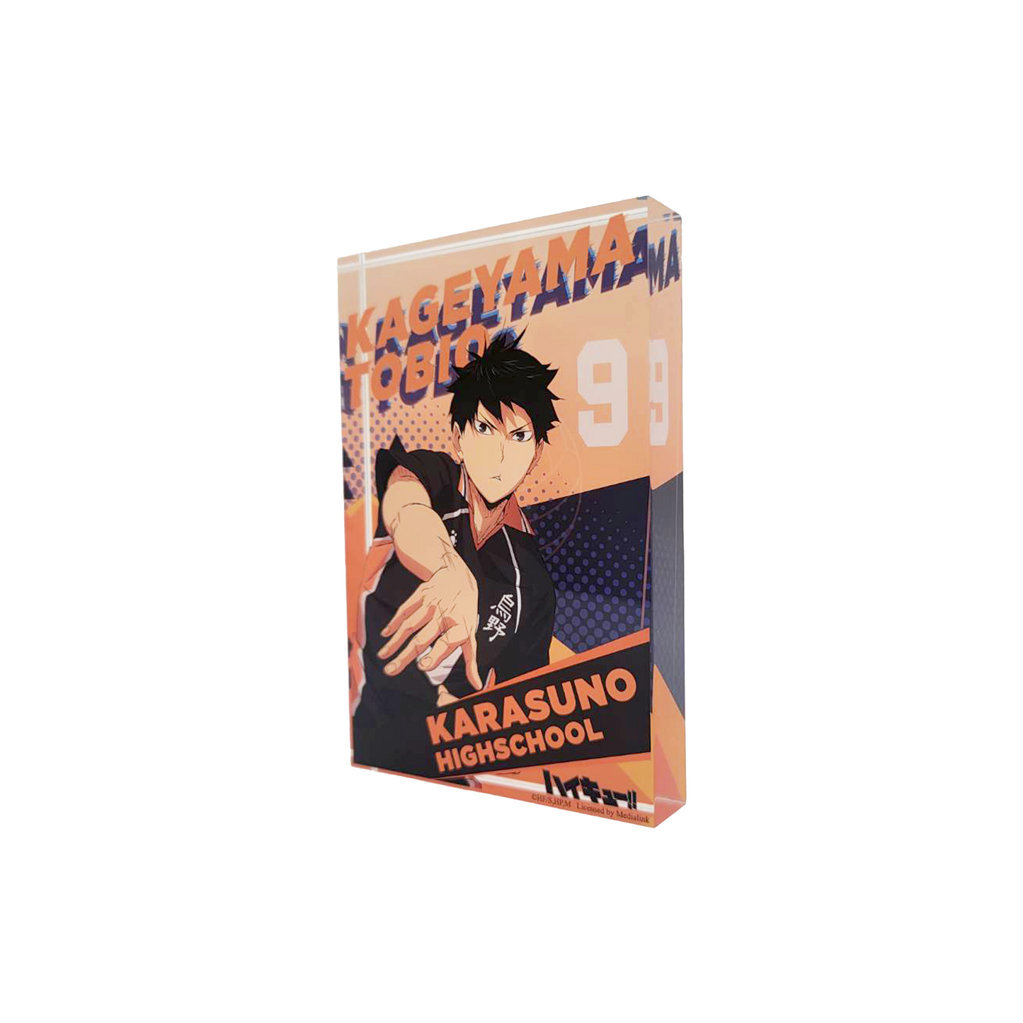 Haikyu!! Arcylic Photo