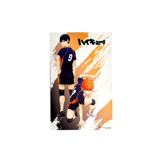 Haikyu!! Karasuno Duo Frameless Printing