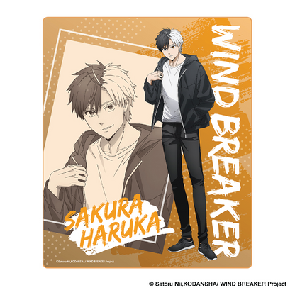Wind Breaker – Character Blanket (Sakura & Suo)