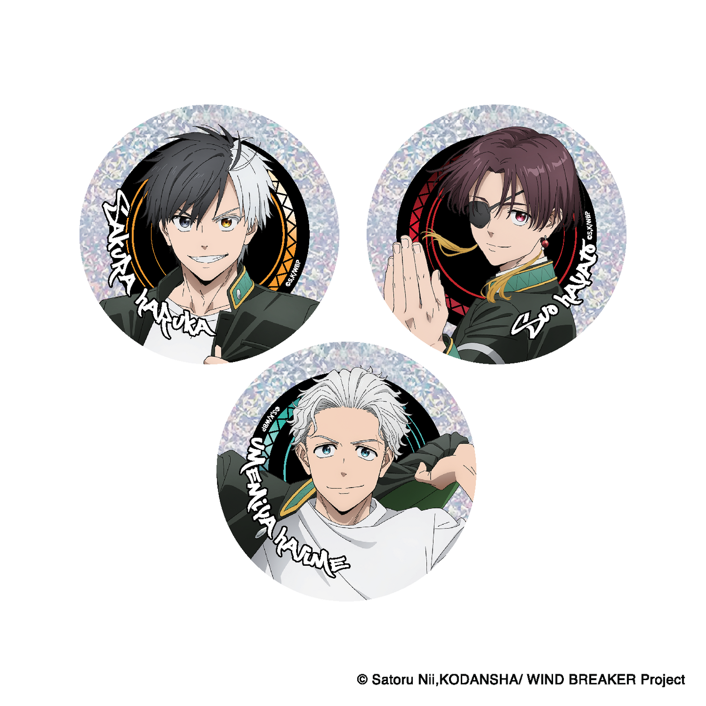 Wind Breaker – Character Badge (Exclusive)